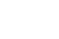 Landice Logo