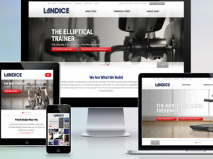 Landice Website Formats